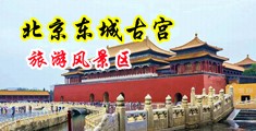 jj午夜性视频中国北京-东城古宫旅游风景区